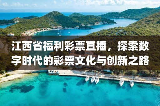 江西省福利彩票直播，探索数字时代的彩票文化与创新之路