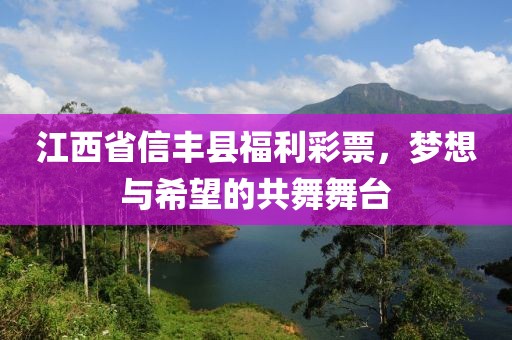 江西省信丰县福利彩票，梦想与希望的共舞舞台