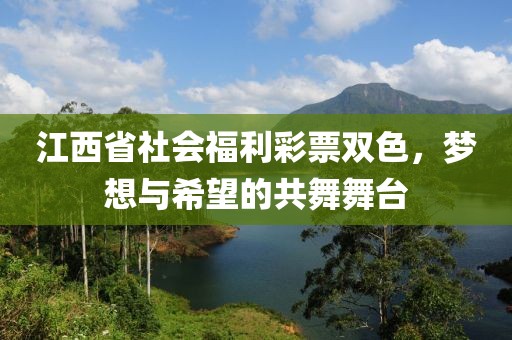 江西省社会福利彩票双色，梦想与希望的共舞舞台