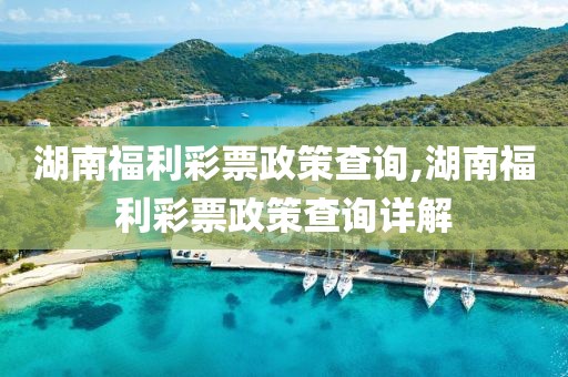 湖南福利彩票政策查询,湖南福利彩票政策查询详解