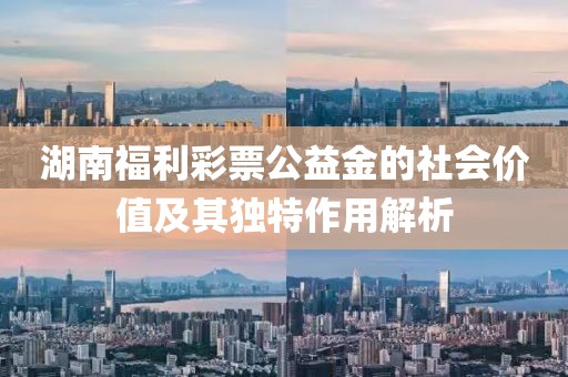 湖南福利彩票公益金的社会价值及其独特作用解析