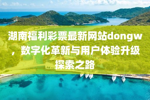 湖南福利彩票最新网站dongw，数字化革新与用户体验升级探索之路