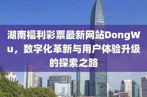 湖南福利彩票最新网站DongWu，数字化革新与用户体验升级的探索之路