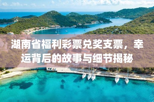 湖南省福利彩票兑奖支票，幸运背后的故事与细节揭秘