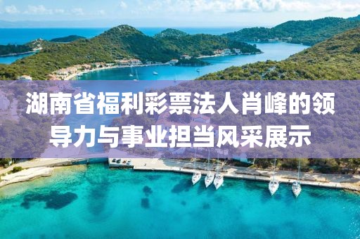 湖南省福利彩票法人肖峰的领导力与事业担当风采展示