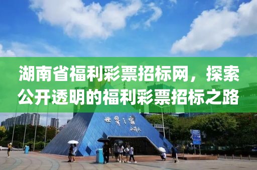 湖南省福利彩票招标网，探索公开透明的福利彩票招标之路