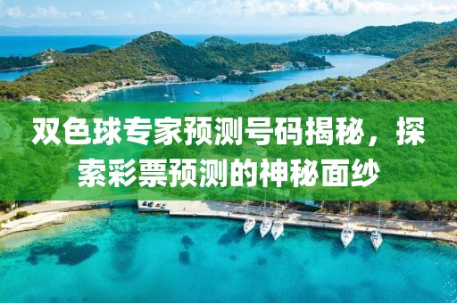 双色球专家预测号码揭秘，探索彩票预测的神秘面纱