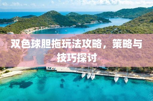 双色球胆拖玩法攻略，策略与技巧探讨