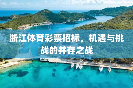 浙江体育彩票招标，机遇与挑战的并存之战