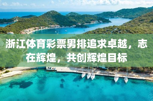 浙江体育彩票男排追求卓越，志在辉煌，共创辉煌目标