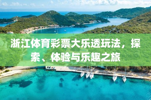 浙江体育彩票大乐透玩法，探索、体验与乐趣之旅