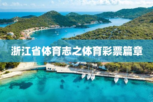 浙江省体育志之体育彩票篇章