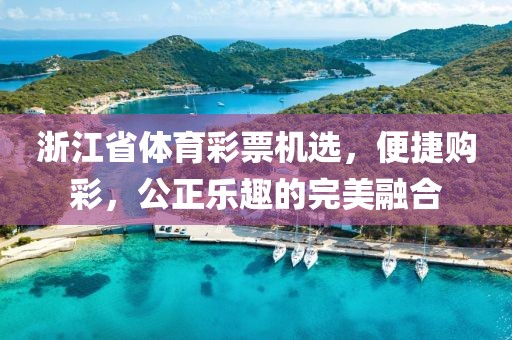 浙江省体育彩票机选，便捷购彩，公正乐趣的完美融合