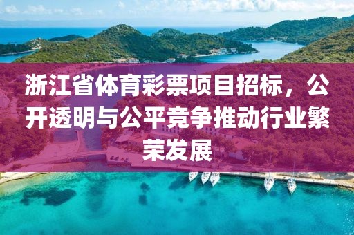 浙江省体育彩票项目招标，公开透明与公平竞争推动行业繁荣发展