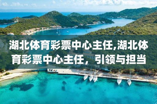 湖北体育彩票中心主任,湖北体育彩票中心主任，引领与担当