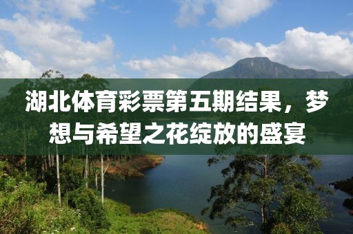 湖北体育彩票第五期结果，梦想与希望之花绽放的盛宴