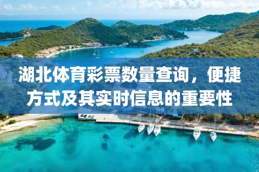 湖北体育彩票数量查询，便捷方式及其实时信息的重要性