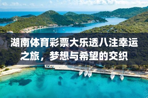 湖南体育彩票大乐透八注幸运之旅，梦想与希望的交织