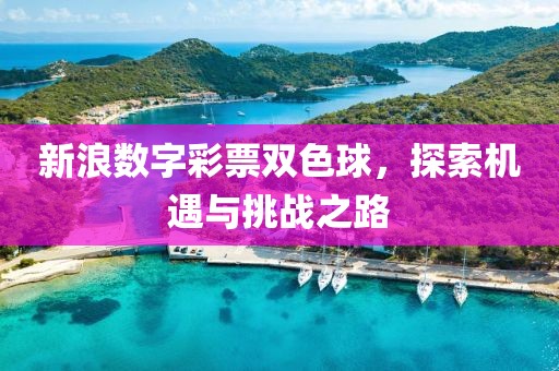 新浪数字彩票双色球，探索机遇与挑战之路