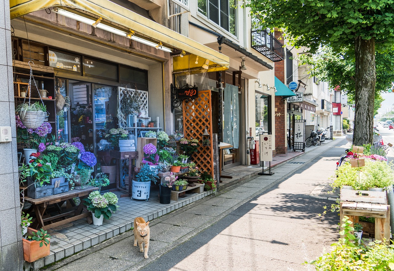 开一家江西福利彩票店，实现梦想的起点之路